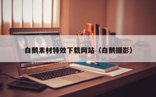 漳浦白鹅素材特效下载网站（白鹅摄影）